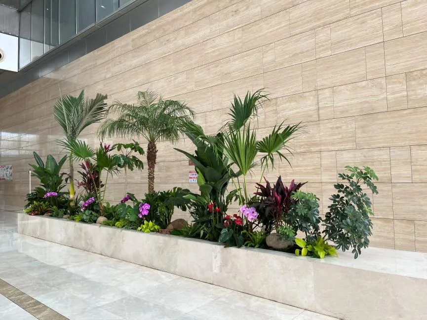 前湾盆景租赁，让您的环境瞬间焕发生机